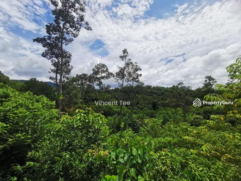 For Sale - 9 Acres Agriculture Land Ulu Lepar Gali Raub