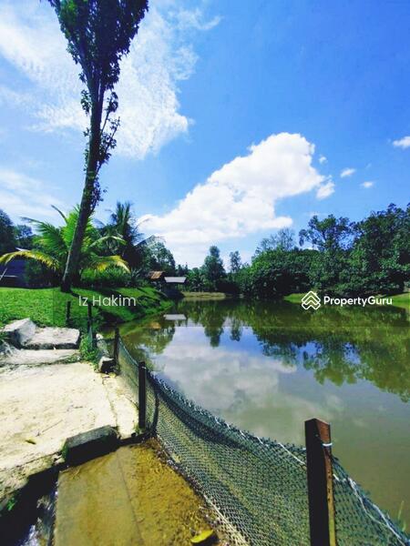 For Sale - Dusun Buah- Buahan serendah Selangor