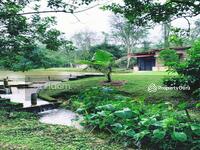 For Sale - Dusun Buah- Buahan serendah Selangor