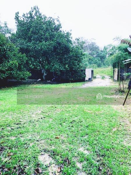 For Sale - Dusun Buah- Buahan serendah Selangor