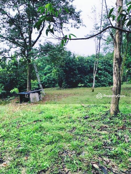 For Sale - Dusun Buah- Buahan serendah Selangor