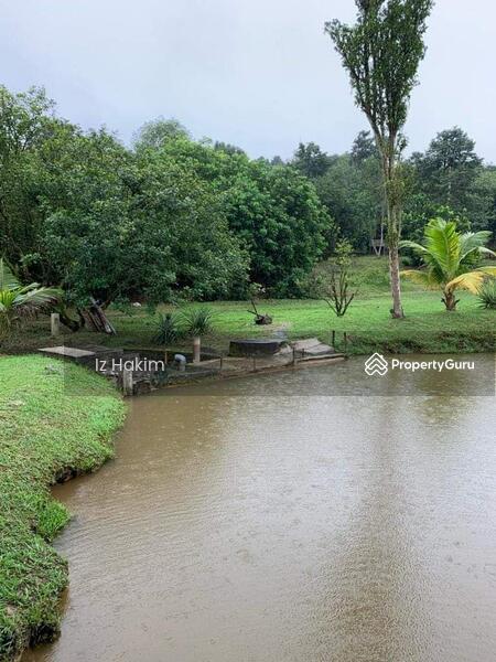 For Sale - Dusun Buah- Buahan serendah Selangor