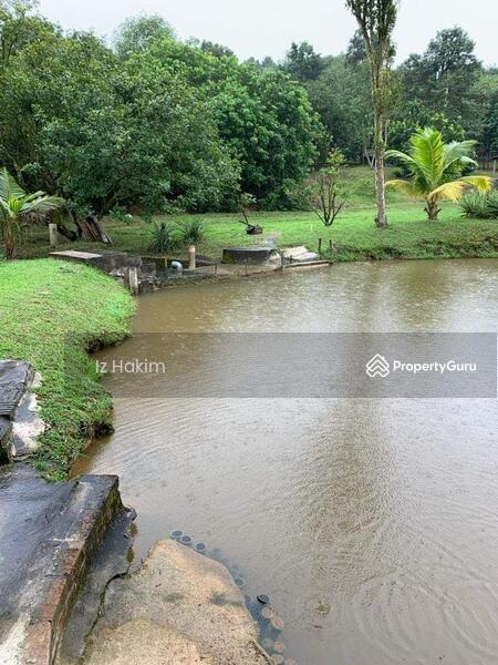For Sale - Dusun Buah- Buahan serendah Selangor