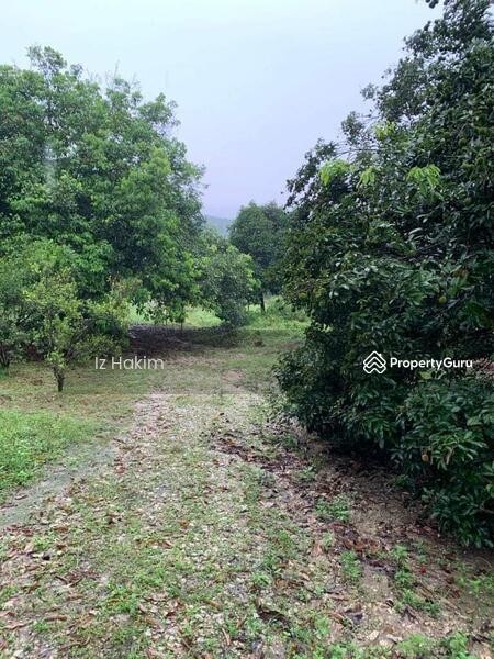For Sale - Dusun Buah- Buahan serendah Selangor