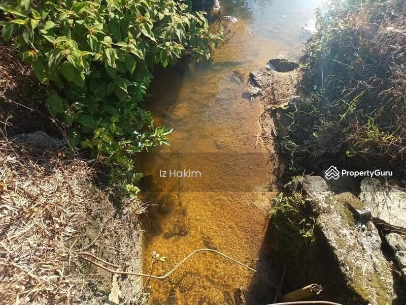 For Sale - Dusun Buah- Buahan serendah Selangor