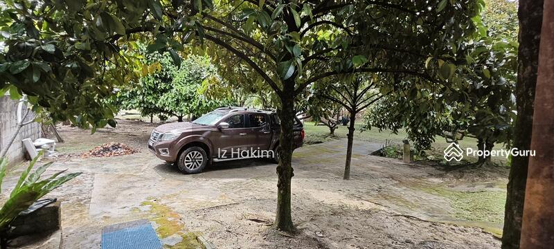 For Sale - Dusun Buah- Buahan serendah Selangor