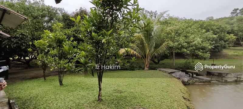 For Sale - Dusun Buah- Buahan serendah Selangor