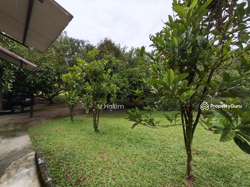 For Sale - Dusun Buah- Buahan serendah Selangor