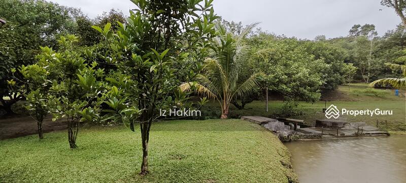 For Sale - Dusun Buah- Buahan serendah Selangor