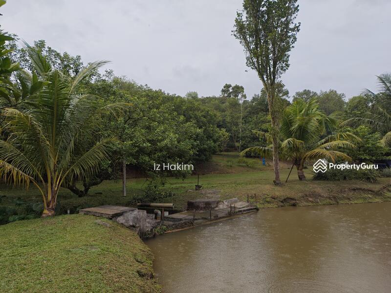 For Sale - Dusun Buah- Buahan serendah Selangor