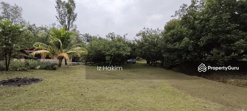 For Sale - Dusun Buah- Buahan serendah Selangor