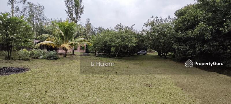 For Sale - Dusun Buah- Buahan serendah Selangor