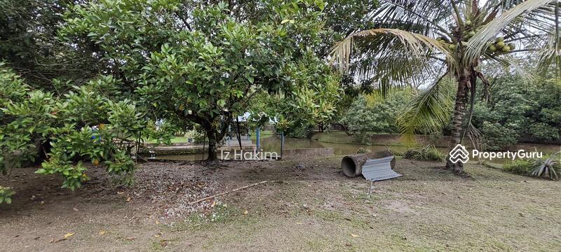 For Sale - Dusun Buah- Buahan serendah Selangor