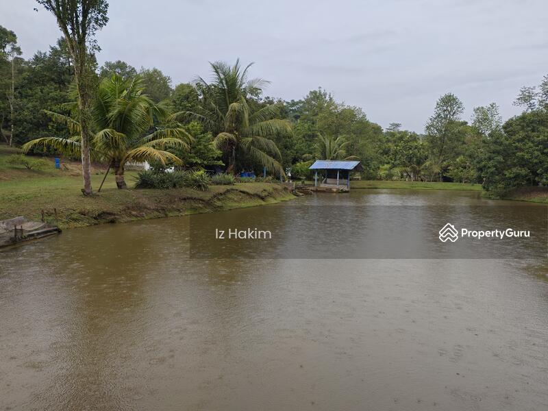 For Sale - Dusun Buah- Buahan serendah Selangor