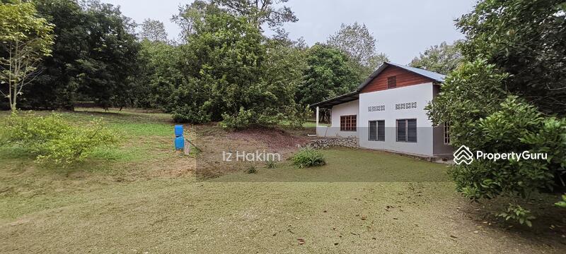 For Sale - Dusun Buah- Buahan serendah Selangor