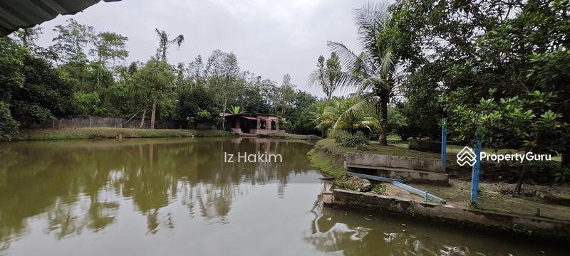 For Sale - Dusun Buah- Buahan serendah Selangor