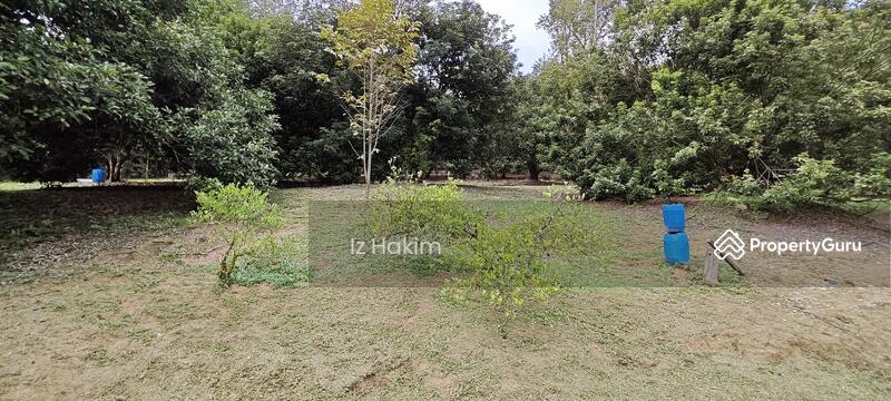 For Sale - Dusun Buah- Buahan serendah Selangor