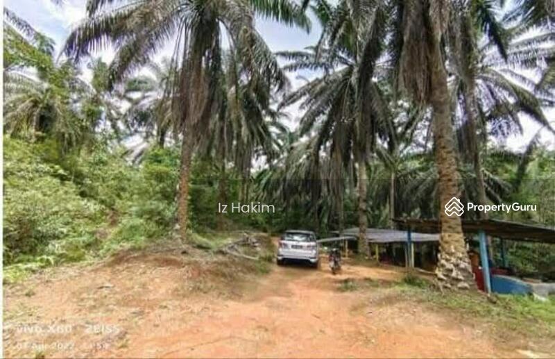 Untuk Dijual - Tanah kuala kubu bharu
