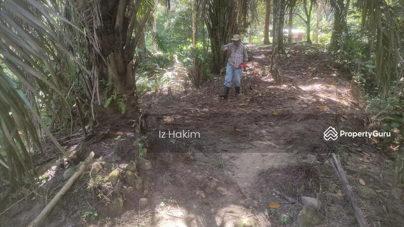 Untuk Dijual - Tanah pertanian ulu Yam Selangor