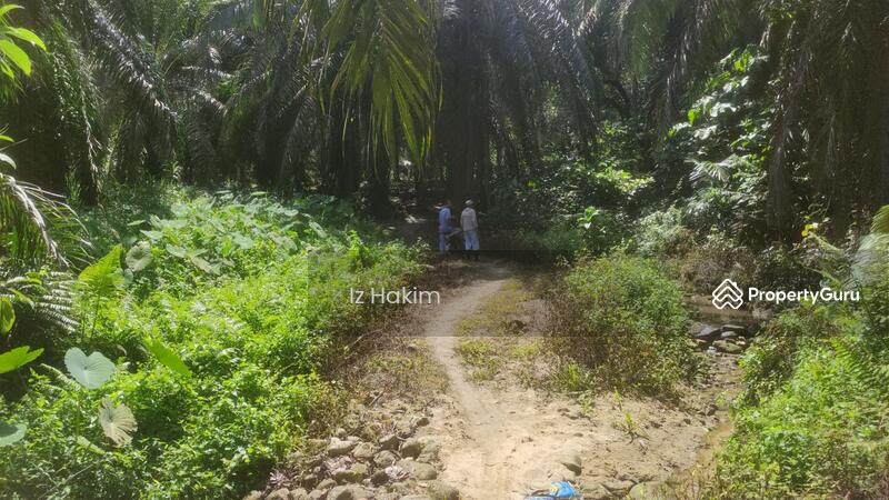 Untuk Dijual - Tanah pertanian ulu Yam Selangor