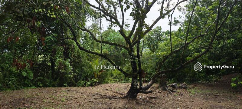 Untuk Dijual - Bungalow Lot depan tasik Ulu Yam