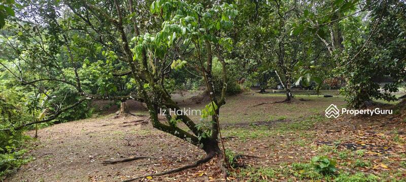 Untuk Dijual - Bungalow Lot depan tasik Ulu Yam