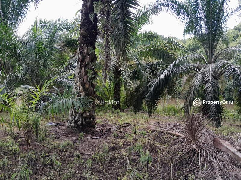 Untuk Dijual - Tanah kuala kubu bharu