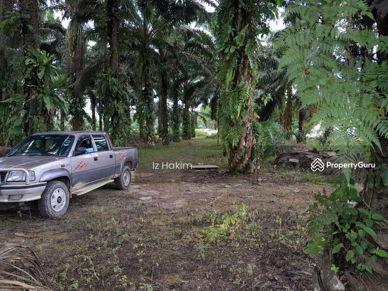 Untuk Dijual - Tanah kuala kubu bharu
