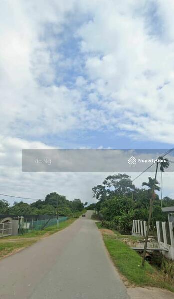Untuk Dijual - Pekan Nenas @ Jalan Sungai Burung