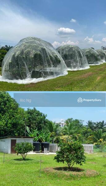 Untuk Dijual - Pekan Nenas @ Jalan Sungai Burung