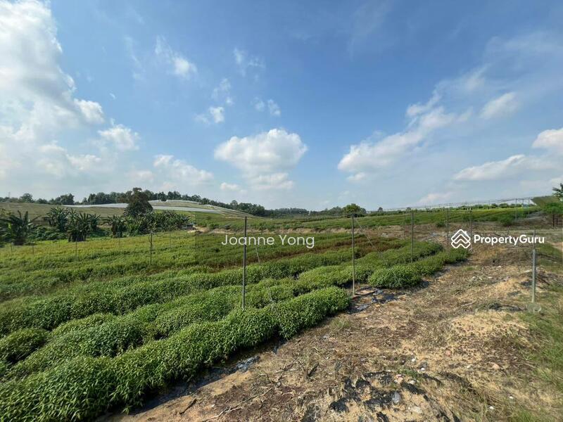 For Sale - 38.1 Acres (3 Pieces) Agriculture Land @ Kempas Area, Taman Sri Puteri, Johor Bahru