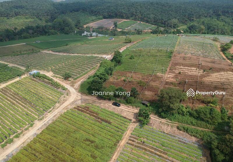 For Sale - 38.1 Acres (3 Pieces) Agriculture Land @ Kempas Area, Taman Sri Puteri, Johor Bahru