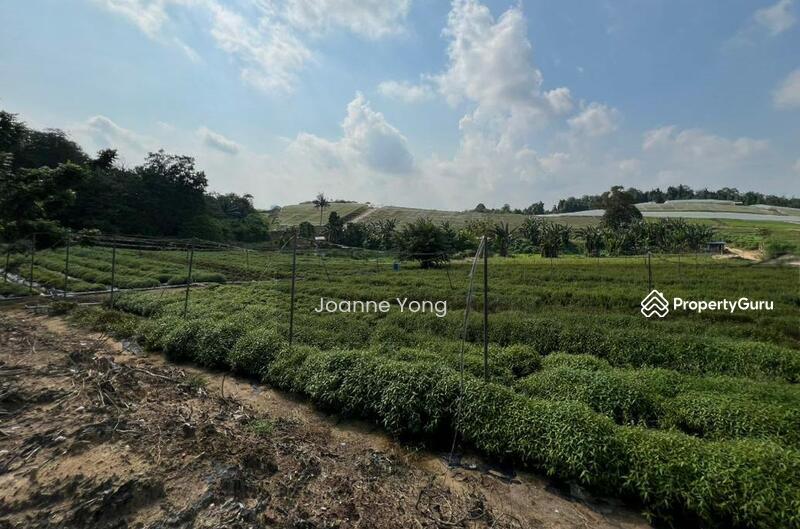 For Sale - 38.1 Acres (3 Pieces) Agriculture Land @ Kempas Area, Taman Sri Puteri, Johor Bahru