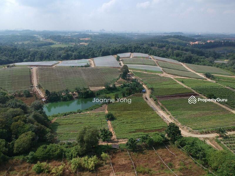 For Sale - 38.1 Acres (3 Pieces) Agriculture Land @ Kempas Area, Taman Sri Puteri, Johor Bahru