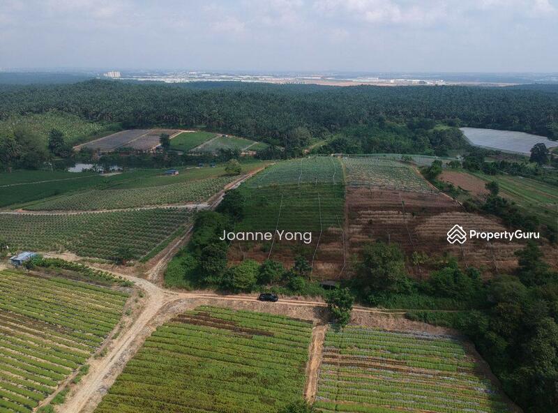 For Sale - 38.1 Acres (3 Pieces) Agriculture Land @ Kempas Area, Taman Sri Puteri, Johor Bahru