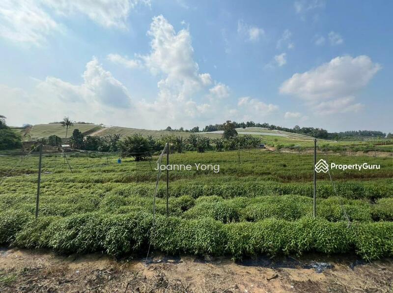 For Sale - 38.1 Acres (3 Pieces) Agriculture Land @ Kempas Area, Taman Sri Puteri, Johor Bahru