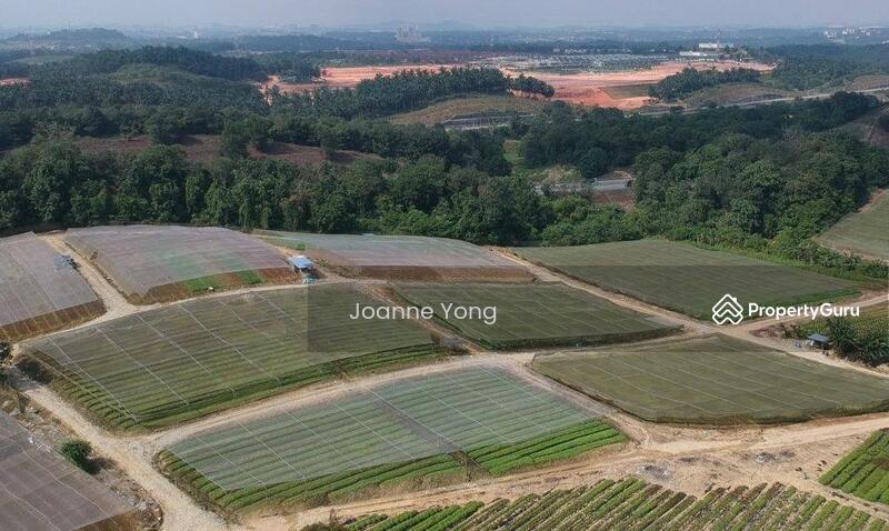 For Sale - 38.1 Acres (3 Pieces) Agriculture Land @ Kempas Area, Taman Sri Puteri, Johor Bahru