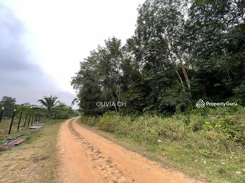 Agricultural Land for Sale in Seremban (Negeri Sembilan) - OLIVIA OH - PropertyGuru.com.my