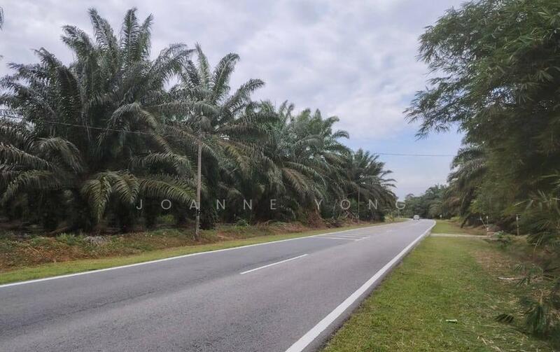 Untuk Dijual - 15 Acres Zoning Residential Land @ Pekan Nanas, Batu 32, Pontian Johor Kg Parit Kassim Pontian Utama