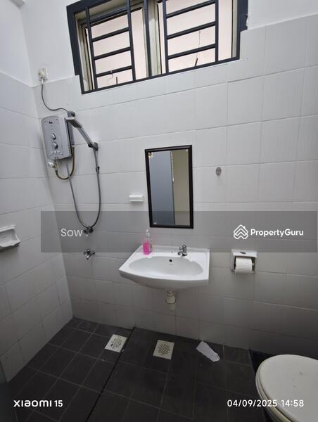 common toilet 