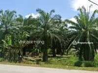 For Sale - (6.18 acres) Perak Road Side agricultural land