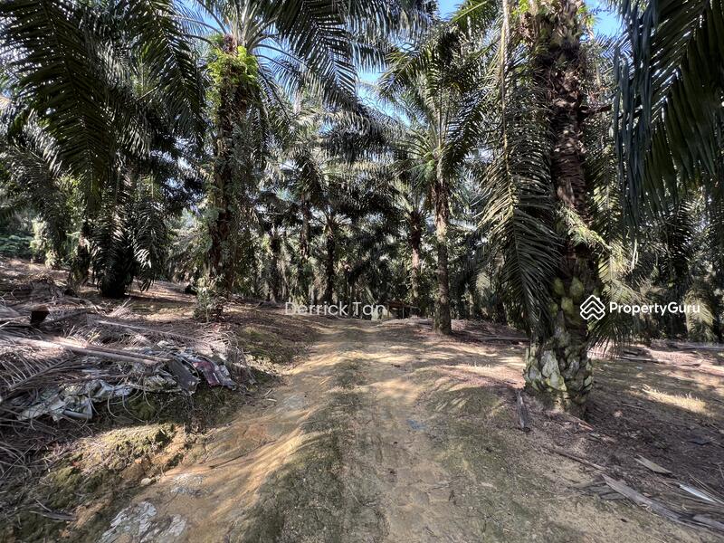 For Sale - Gelang Patah