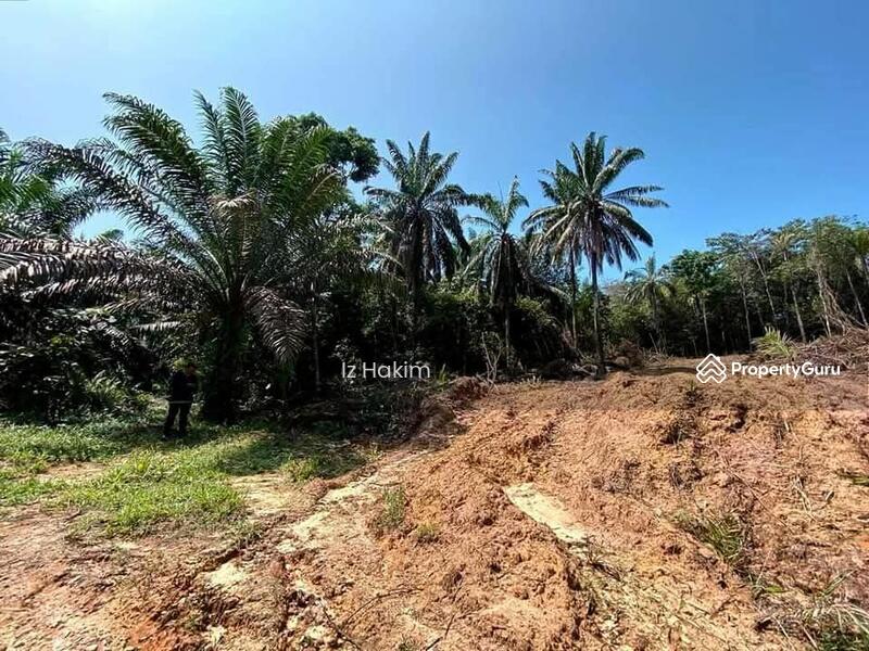 For Sale - tanah ulu bernam