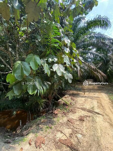 For Sale - tanah ulu bernam