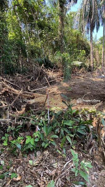 For Sale - tanah ulu bernam