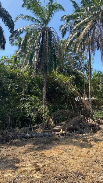 For Sale - tanah ulu bernam