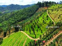 For Sale - Freehold Dusun Durian Kuala Pilah Seremban