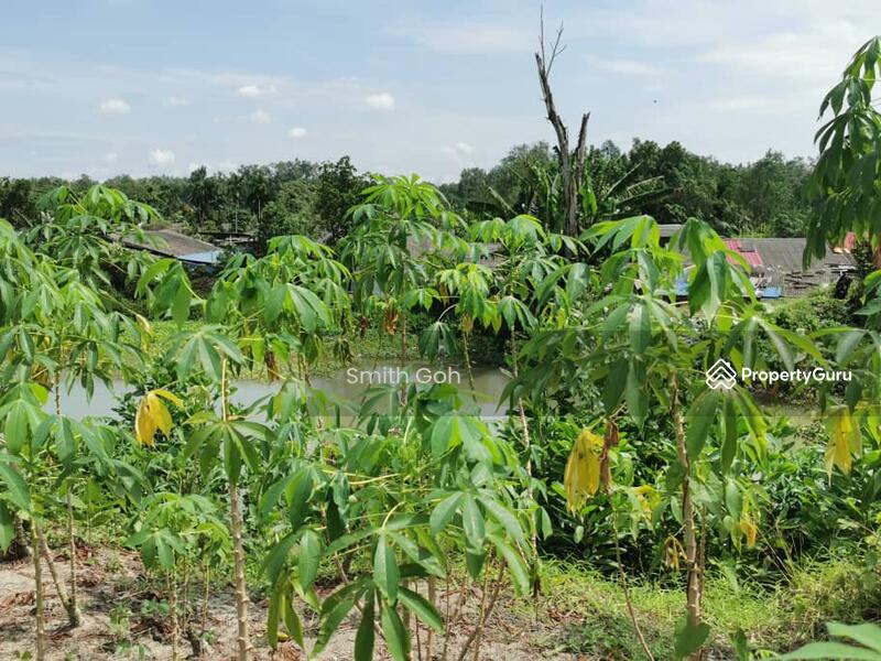 Tanah Pertanian untuk Dijual di Perling (Skudai) - Smith Goh - PropertyGuru.com.my