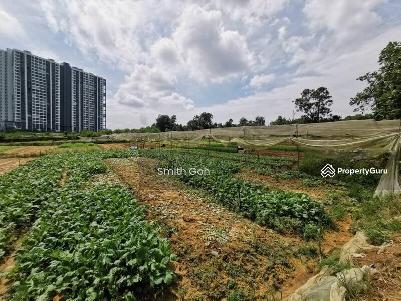 Tanah Pertanian untuk Dijual di Perling (Skudai) - Smith Goh - PropertyGuru.com.my