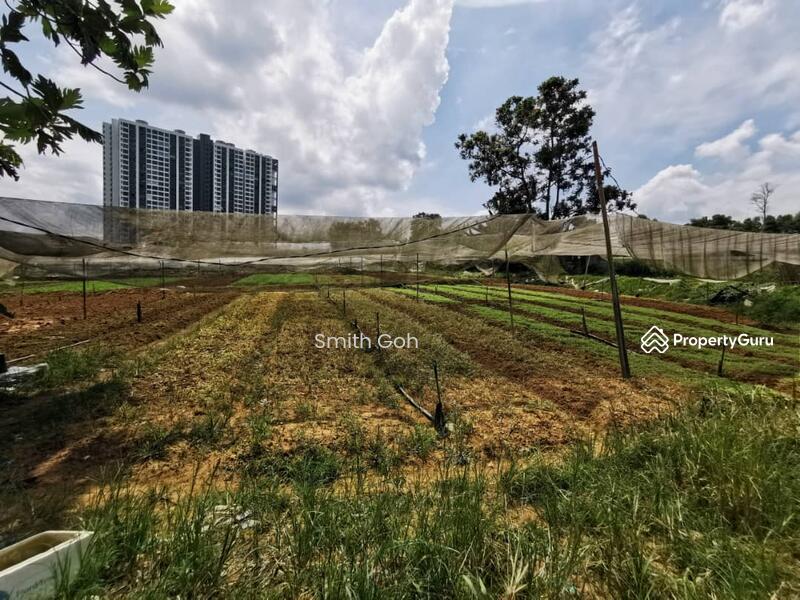 Tanah Pertanian untuk Dijual di Perling (Skudai) - Smith Goh - PropertyGuru.com.my
